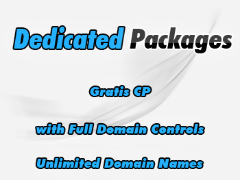 Inexpensive dedicated hosting server packages